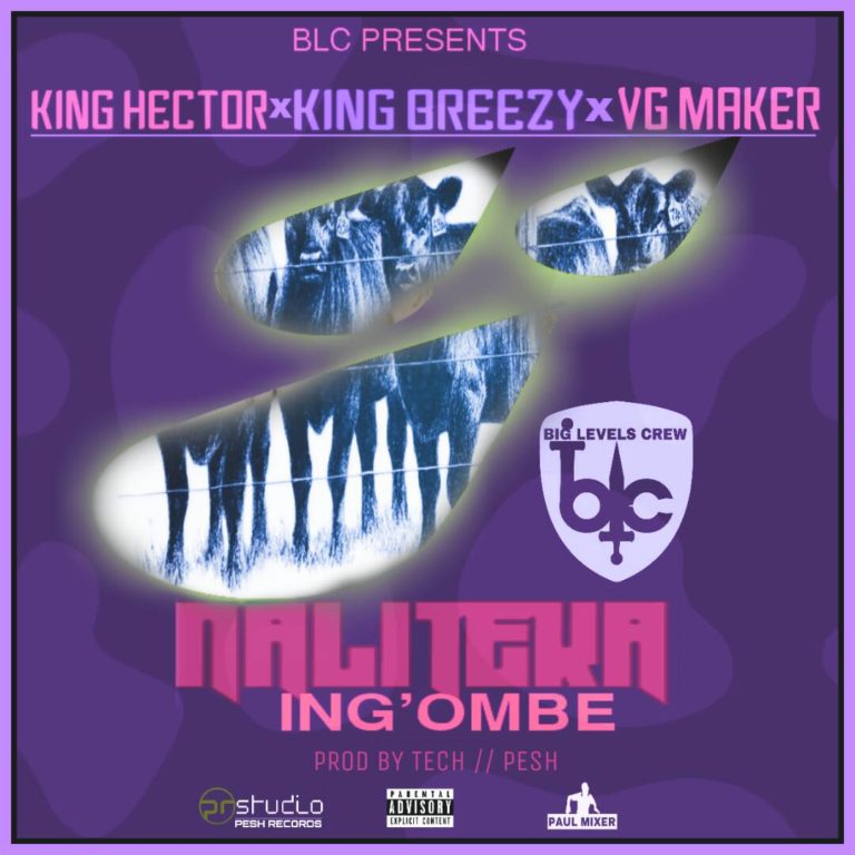 King Hector x King Breezy x VG Marker- “Naliteka I’ngombe” (Prod. Tech & Pesh)