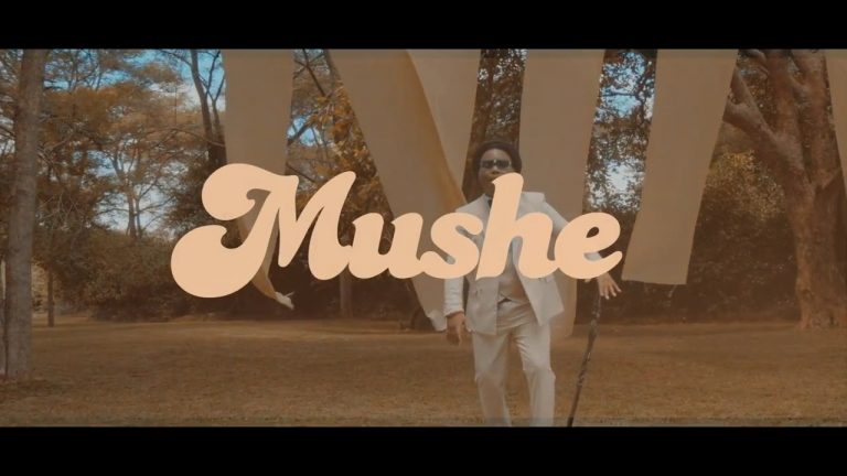VIDEO: Mwila Mulenga- “Mushe” (Official Video)