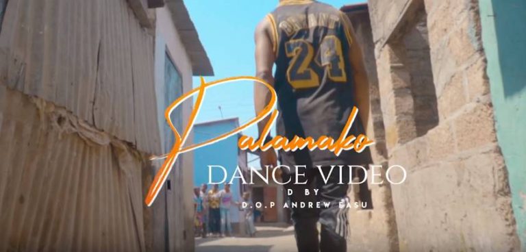 VIDEO: Nez long Ft Izrael- “Palamako” (Dance Video)