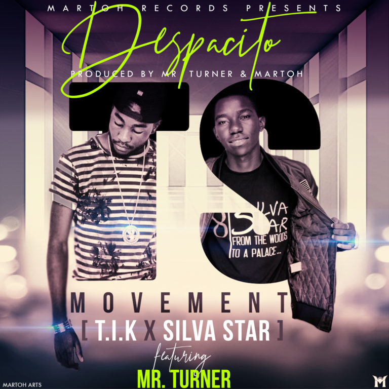 TS Movement Ft Mr. Turner -“Despacito” (Prod. Mr. Turner & MartoH)