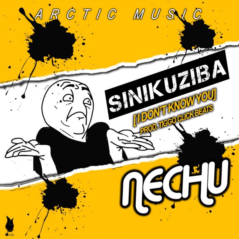 Nechu -“Sinikuziba”(Prod. Tiggo Click)