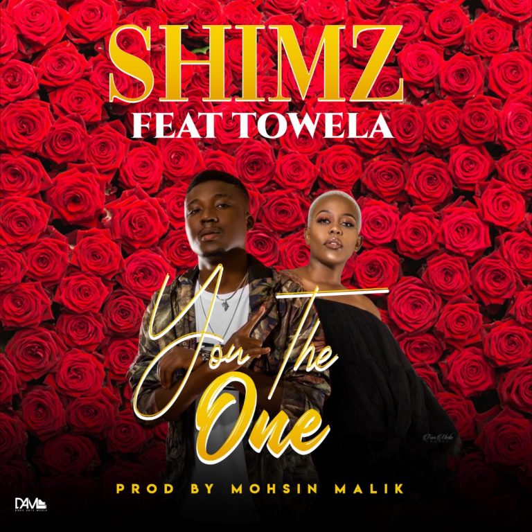Shimz Ft Towela -“You The One”(Prod. Mohsin Malik)