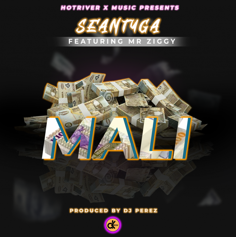 Sean Tyga ft Mr. Ziggy-“Mali” (Prod. Dj Perez)