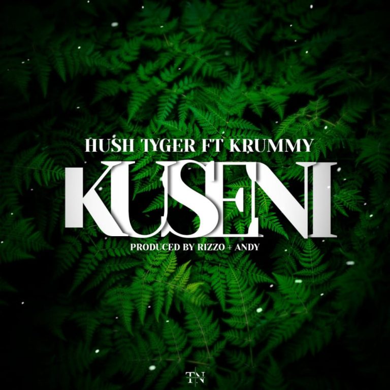 Hush Tiger ft Krummy- “Kuseni” (Prod. Bizzo & Andy)